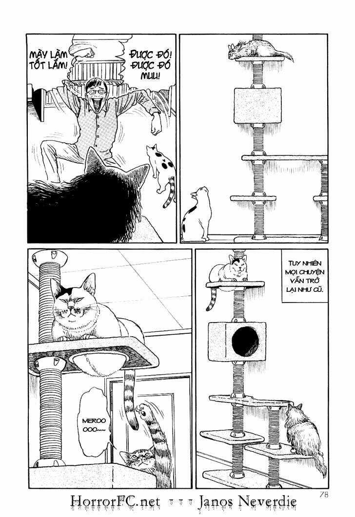 Ito Junji Cat's Diary - Chapter 7 - Trang 10