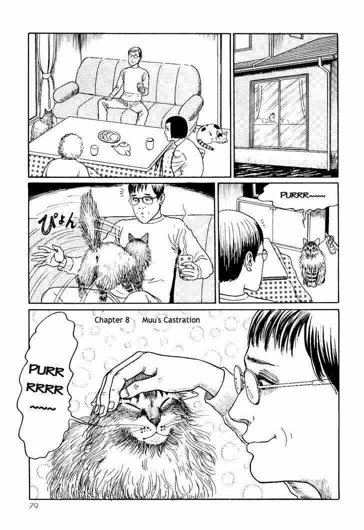 Ito Junji Cat's Diary - Chapter 8 - Trang 1