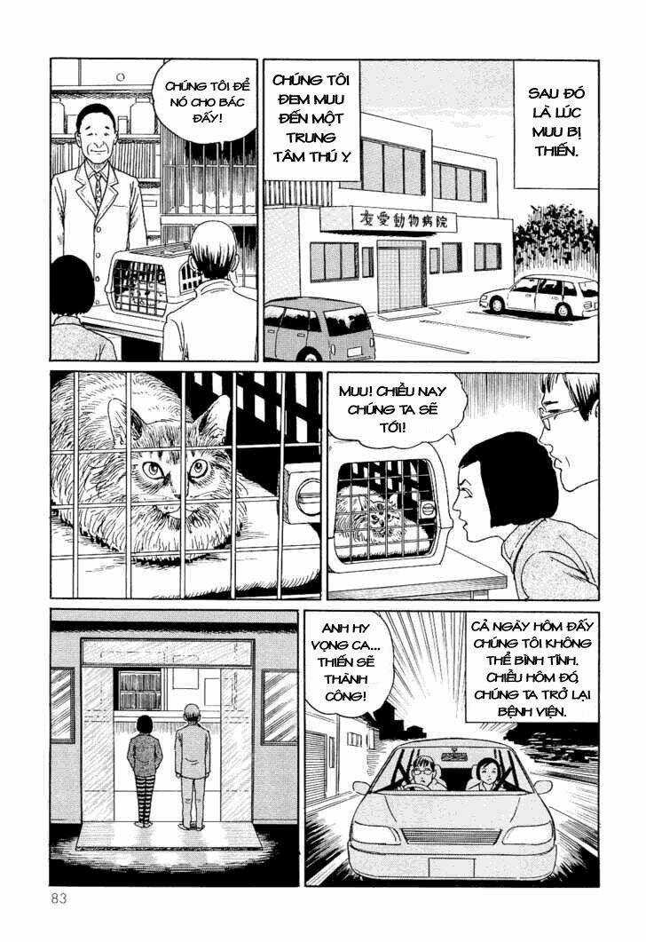 Ito Junji Cat's Diary - Chapter 8 - Trang 5