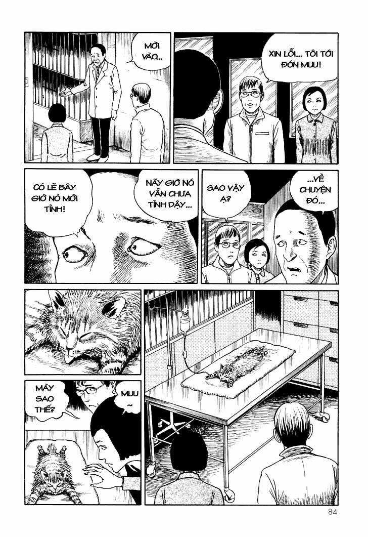 Ito Junji Cat's Diary - Chapter 8 - Trang 6