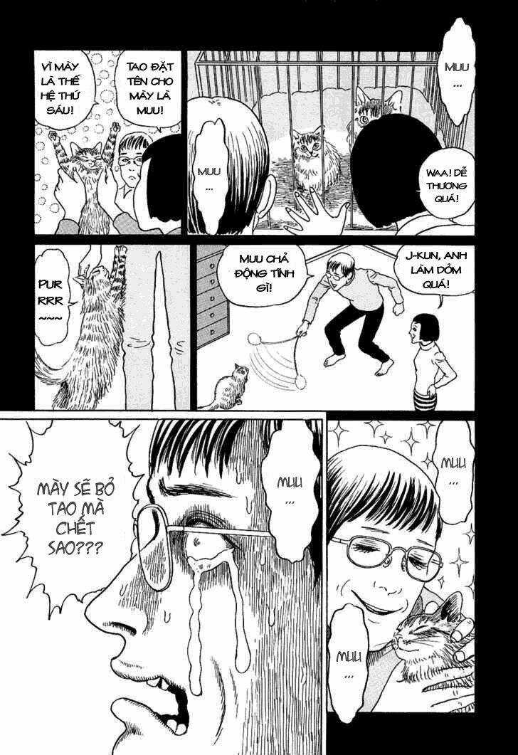 Ito Junji Cat's Diary - Chapter 8 - Trang 8