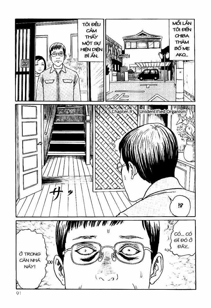 Ito Junji Cat's Diary - Chapter 9 - Trang 1