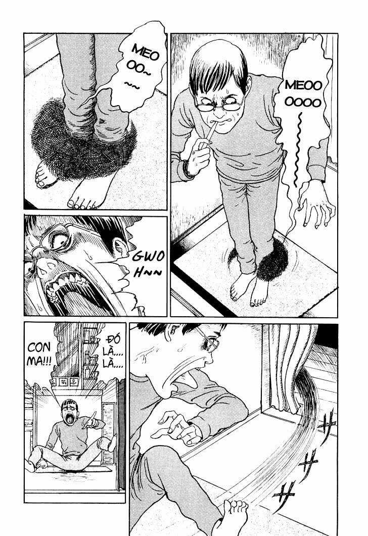 Ito Junji Cat's Diary - Chapter 9 - Trang 6