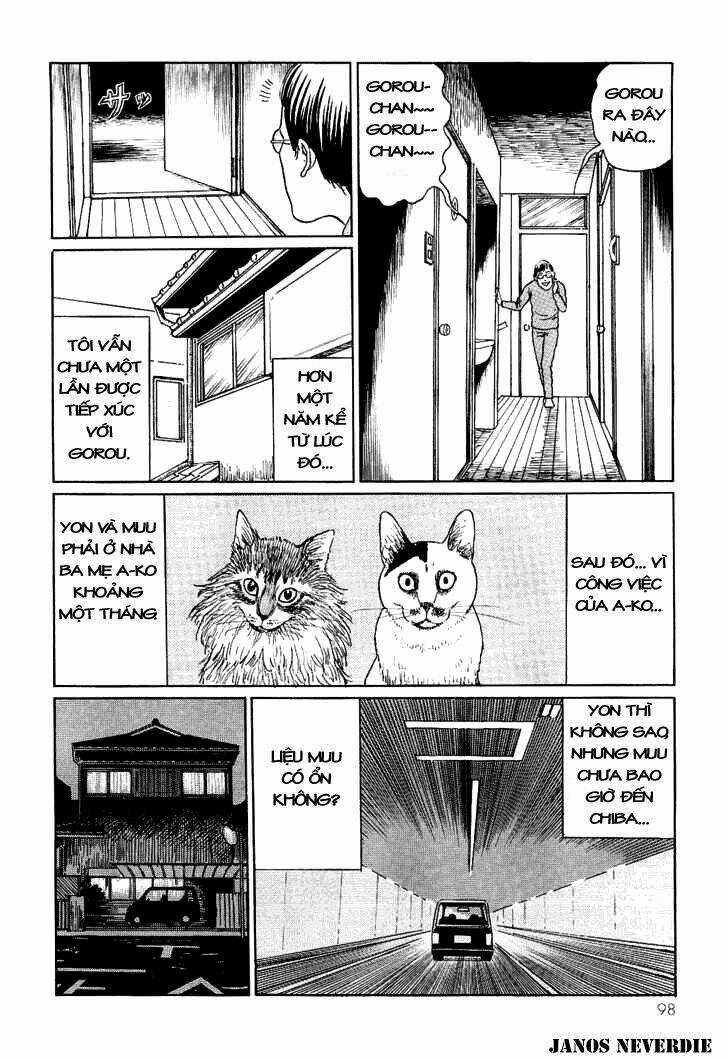 Ito Junji Cat's Diary - Chapter 9 - Trang 8