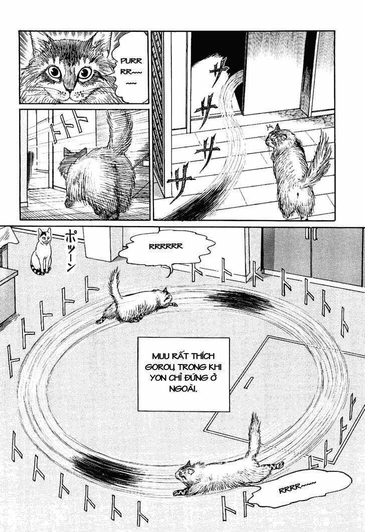 Ito Junji Cat's Diary - Chapter 9 - Trang 10