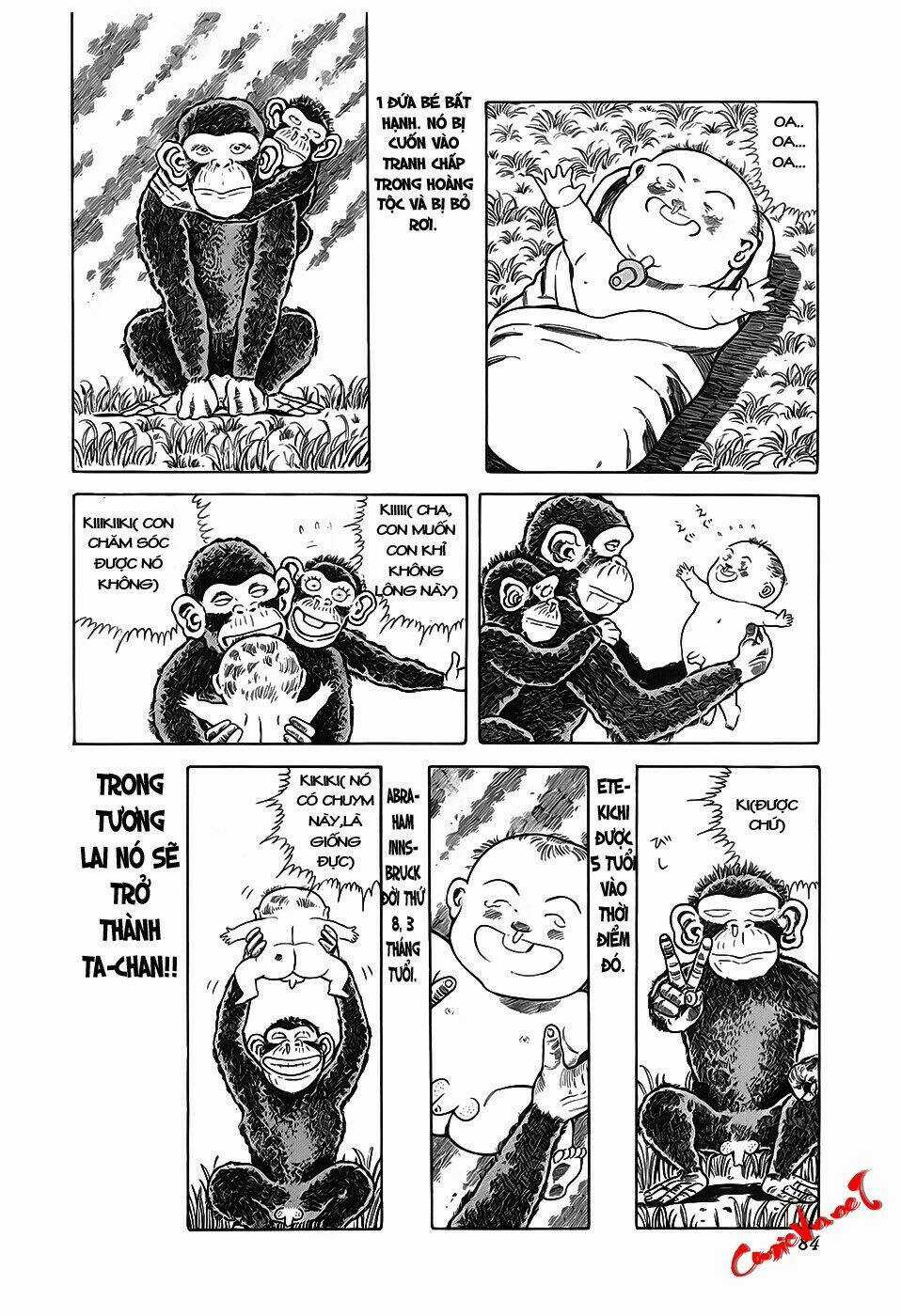 Jungle No Ouja Taa Chan - Chapter 11 - Trang 3