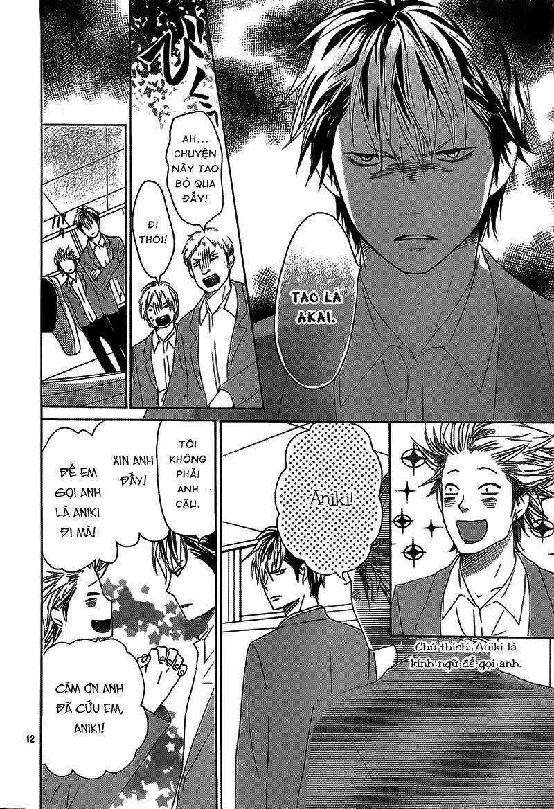 Junjou Drop - Chapter 3 - Trang 13