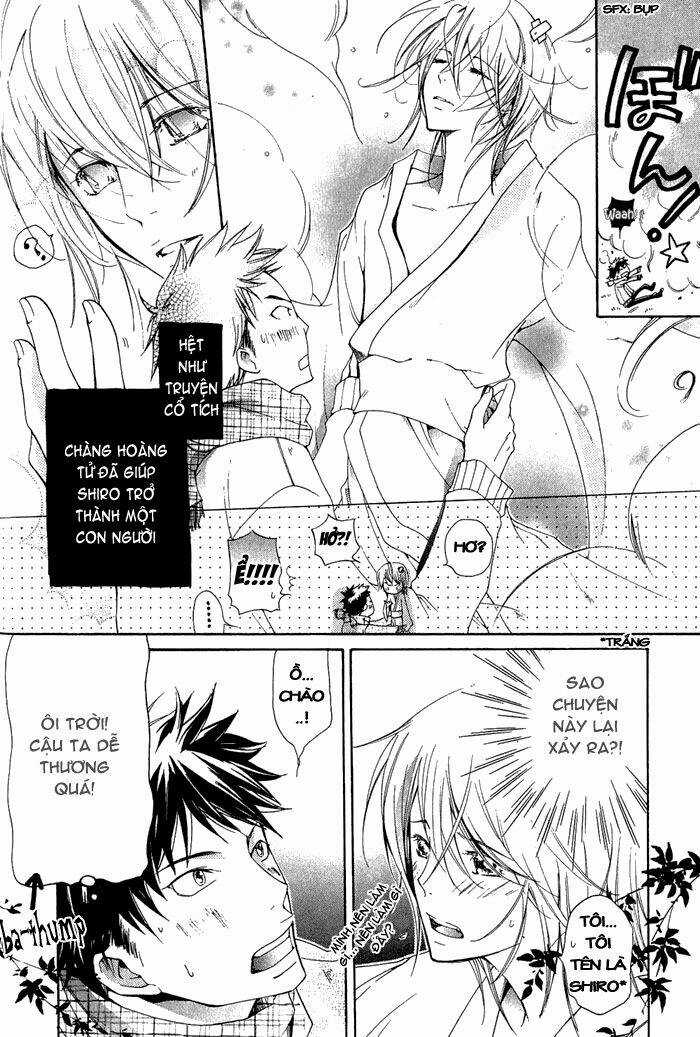 Junketsu Ningyo Series - Chapter 2 - Trang 7