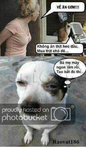 Just Troll - Chapter 16 - Trang 2