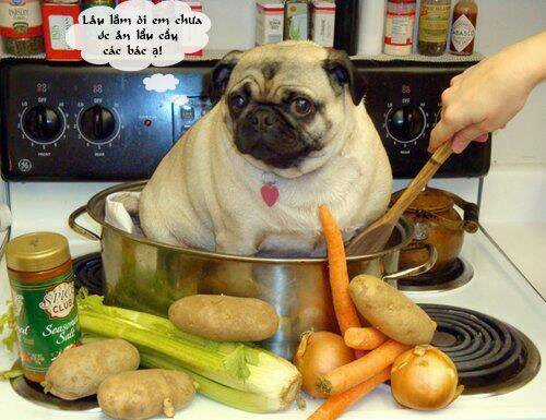 Just Troll - Chapter 21 - Trang 15