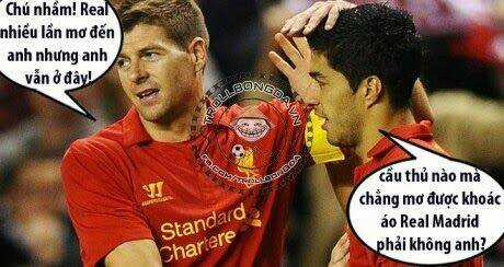 Just Troll - Chapter 23 - Trang 3