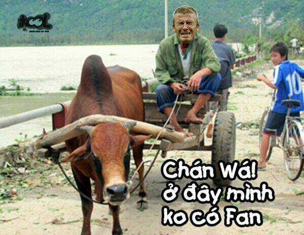 Just Troll - Chapter 24 - Trang 1