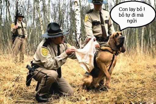 Just Troll - Chapter 25 - Trang 1