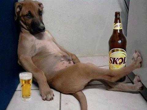 Just Troll - Chapter 25 - Trang 18