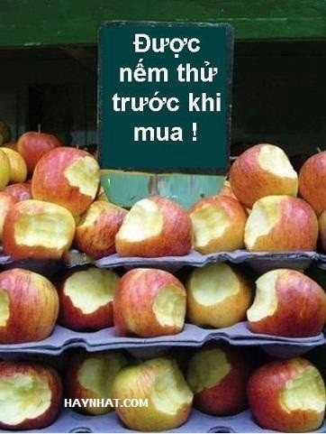 Just Troll - Chapter 25 - Trang 25