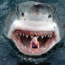 Just Troll - Chapter 31 - Trang 31