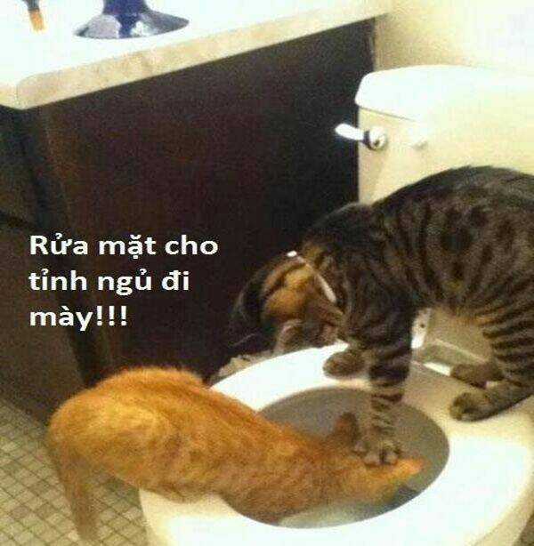 Just Troll - Chapter 31 - Trang 7