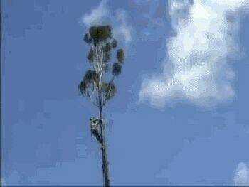 Just Troll - Chapter 32 - Trang 24