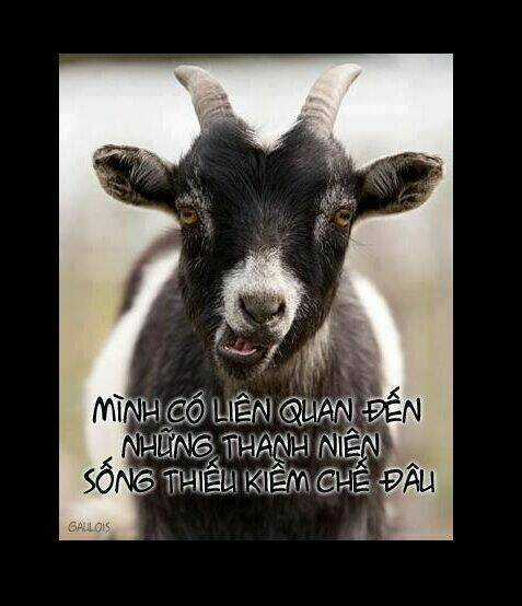 Just Troll - Chapter 42 - Trang 7