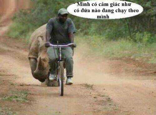 Just Troll - Chapter 6 - Trang 1