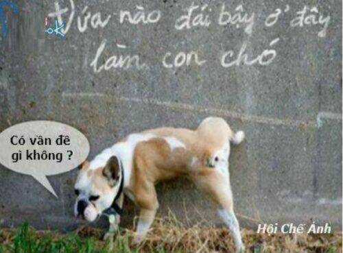 Just Troll - Chapter 6 - Trang 12