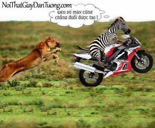 Just Troll - Chapter 6 - Trang 21