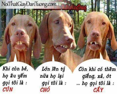 Just Troll - Chapter 6 - Trang 25