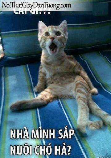 Just Troll - Chapter 6 - Trang 28