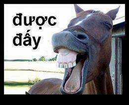 Just Troll - Chapter 7 - Trang 2