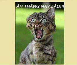 Just Troll - Chapter 7 - Trang 18