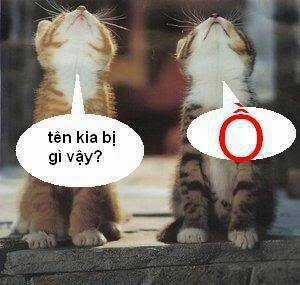 Just Troll - Chapter 7 - Trang 7