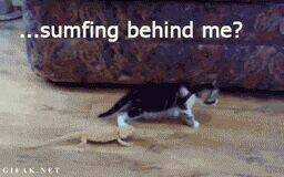 Just Troll - Chapter 9 - Trang 5