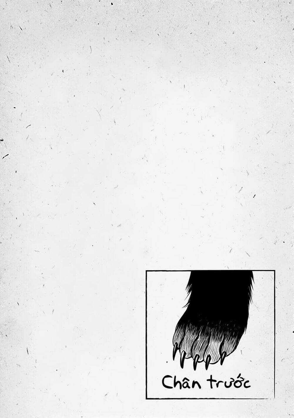 Kami No Manimani - Chapter 33.5 - Trang 13