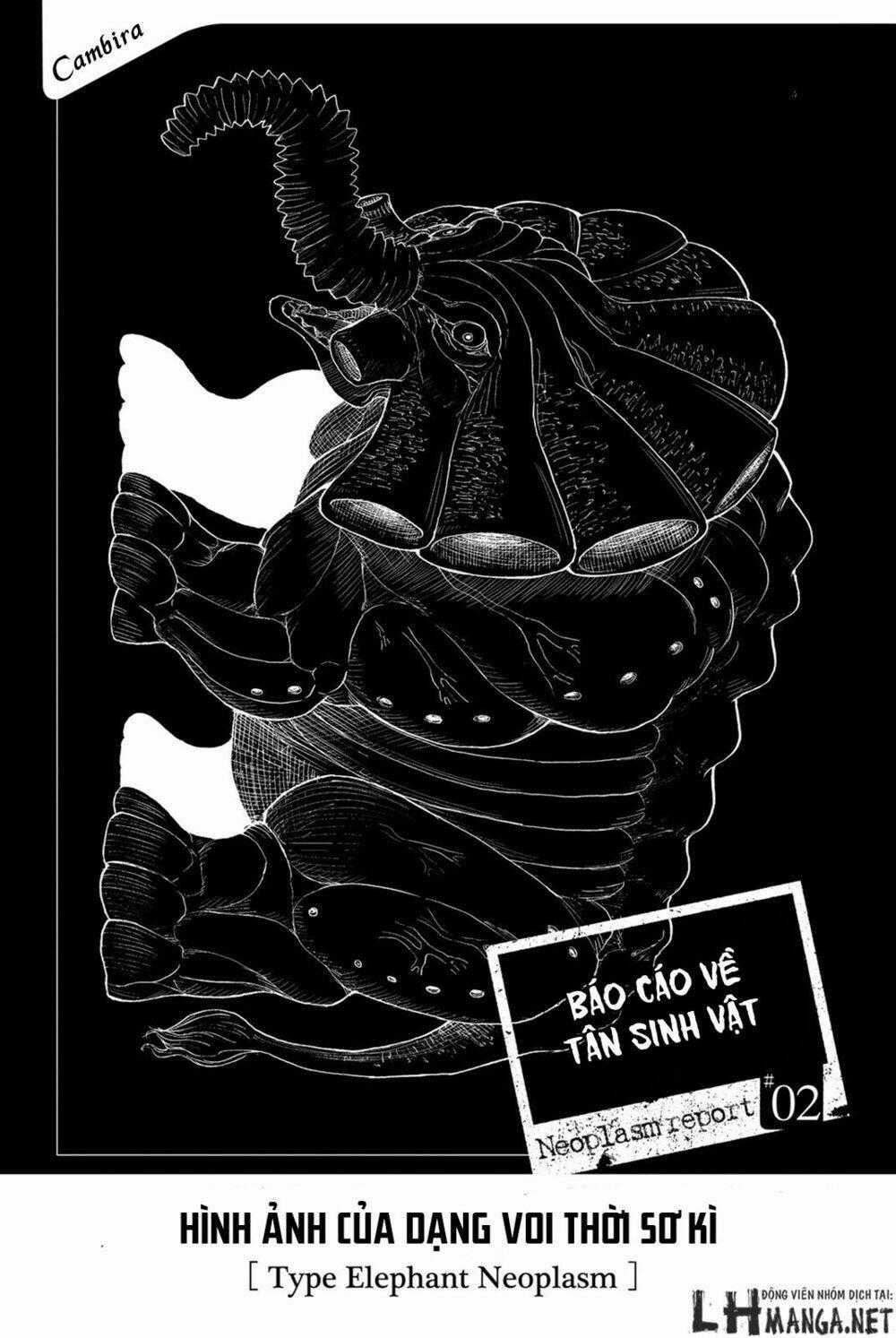 Kanburia - Chapter 2 - Trang 2