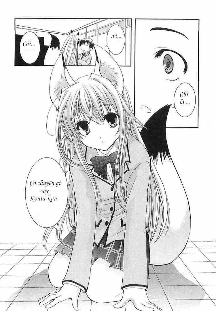 Kanokon - Chapter 1 - Trang 31