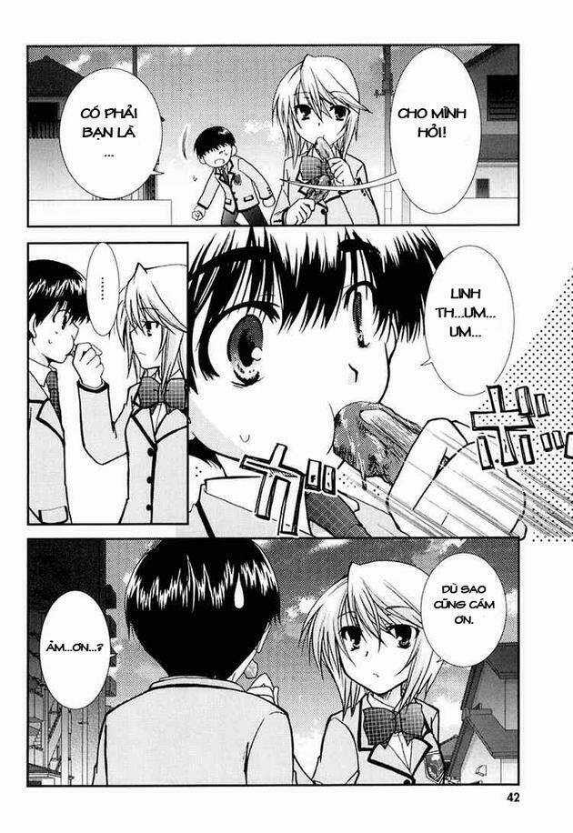 Kanokon - Chapter 14 - Trang 8