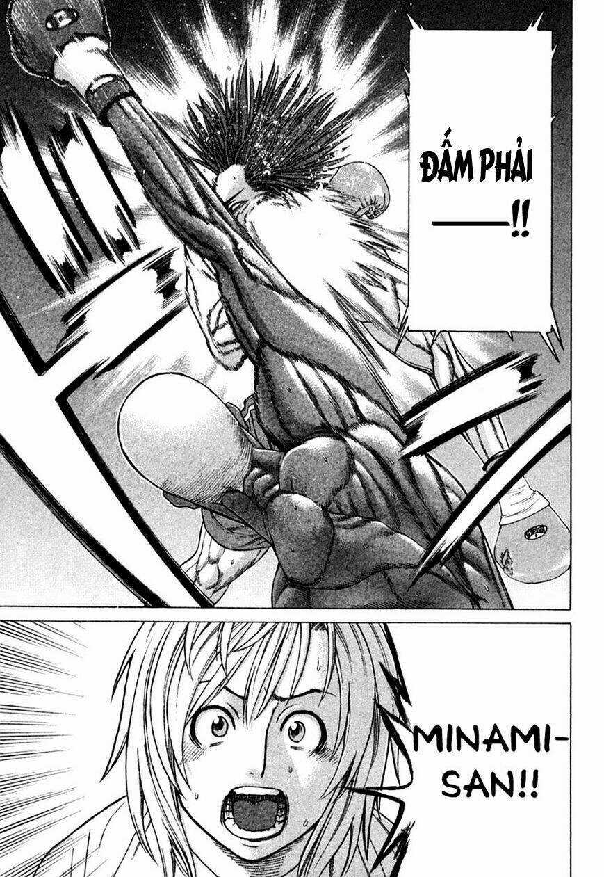 Karate Shoukoushi Kohinata Minoru - Chapter 221 - Trang 4