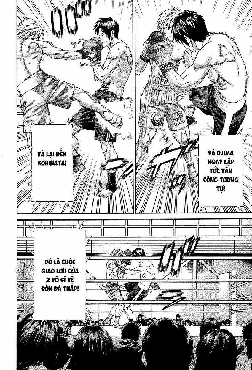 Karate Shoukoushi Kohinata Minoru - Chapter 320 - Trang 7