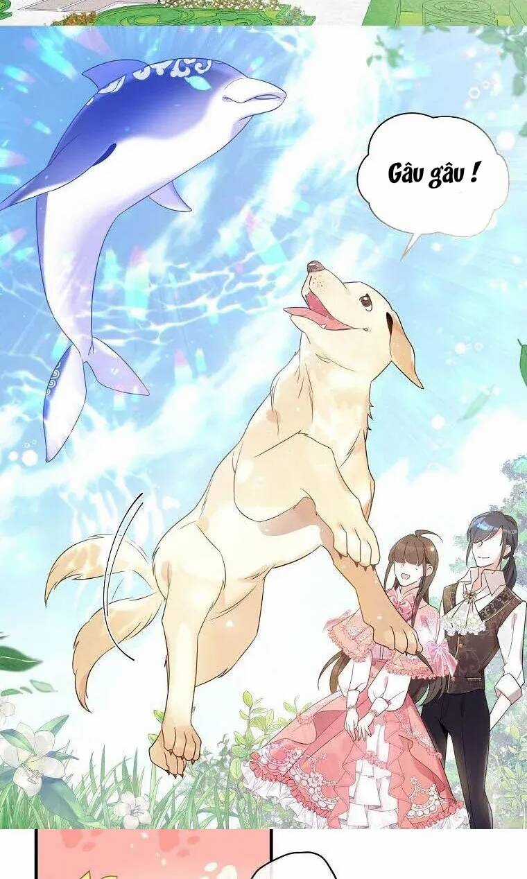 Kế Hoạch B - Chapter 20 - Trang 47