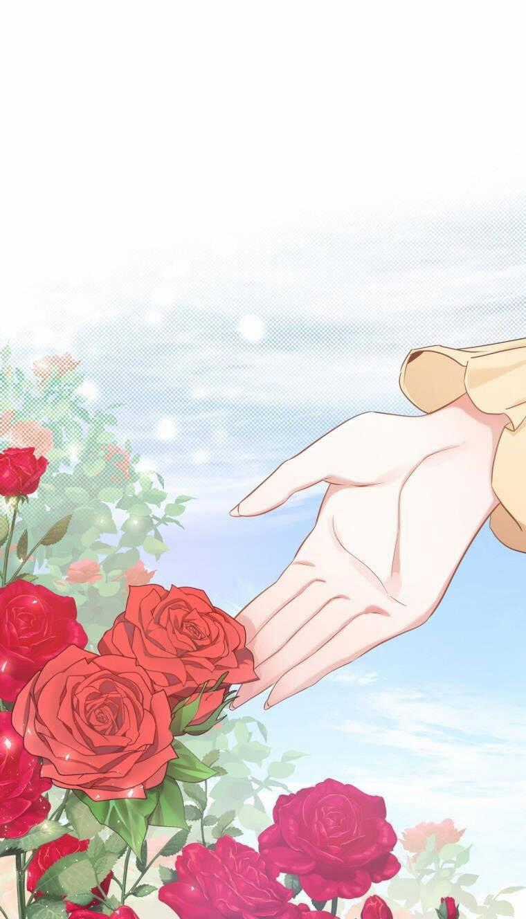 Kế Hoạch B - Chapter 31 - Trang 2