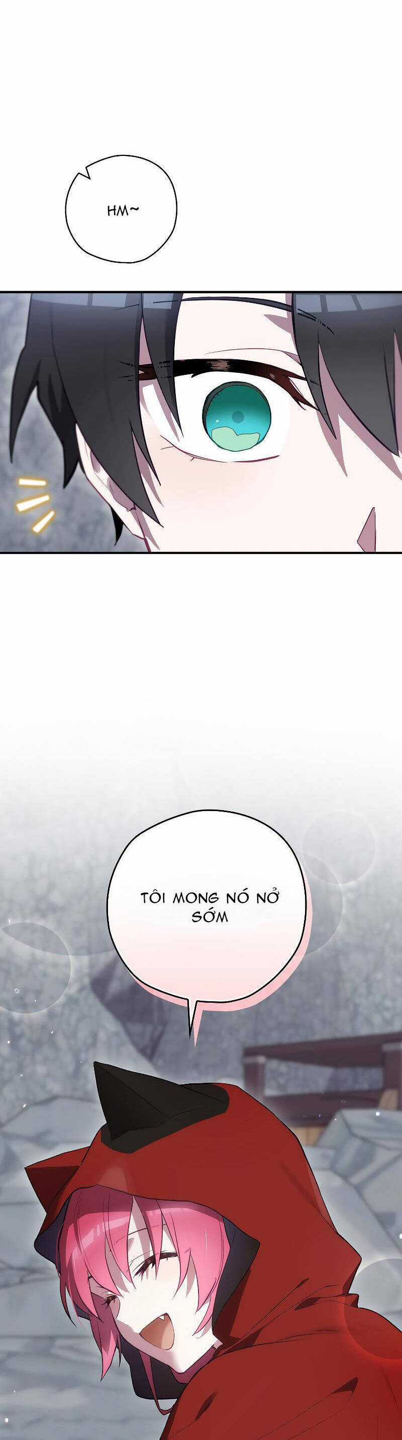 Kẻ Phán Quyết - Chương 53.2 - Trang 13