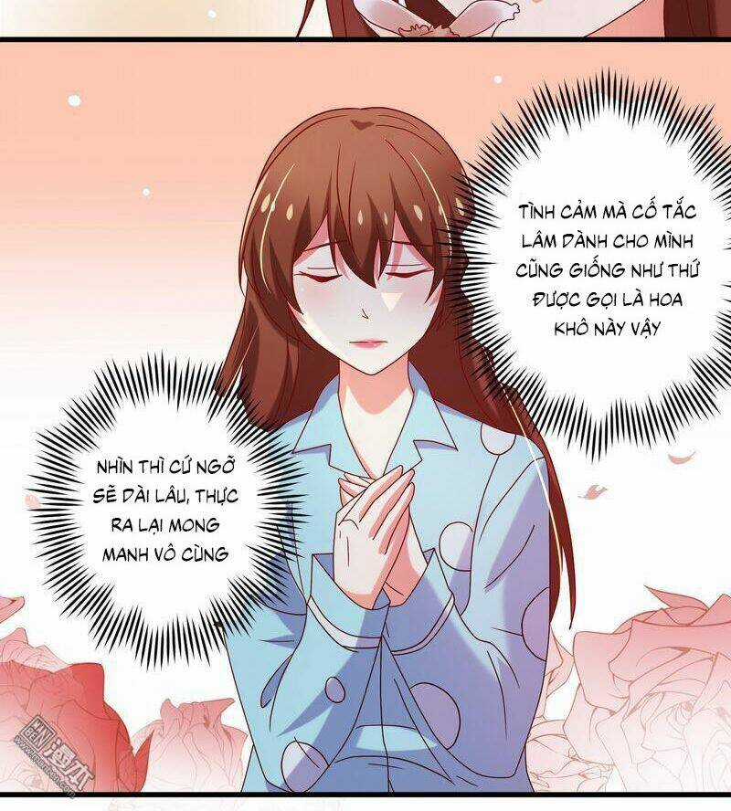 Khế Hôn - Chapter 65 - Trang 27