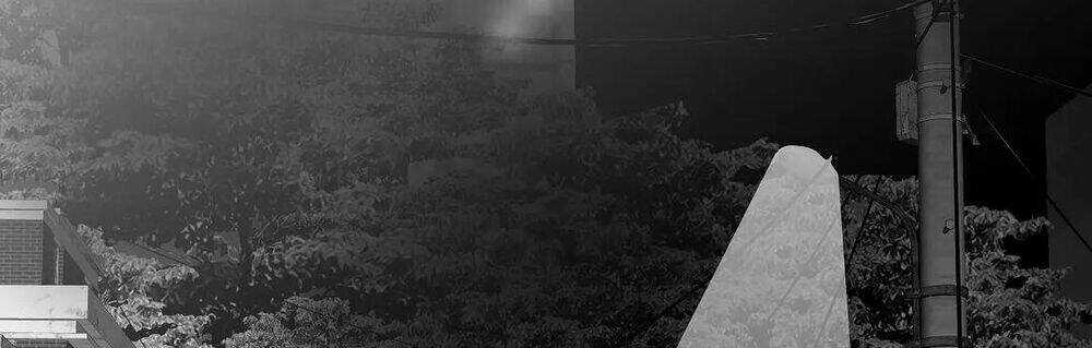 Khi Đôi Chân Thôi Bước - Chapter 60 - Trang 228