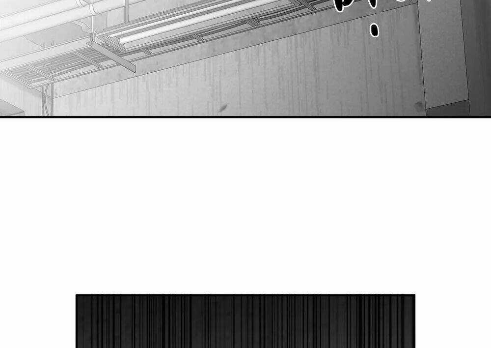 Khi Đôi Chân Thôi Bước - Chapter 64 - Trang 95