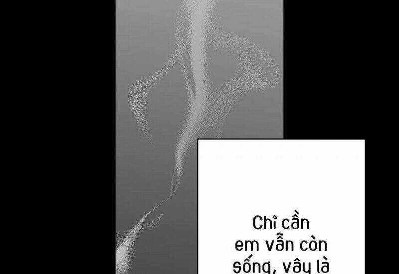 Khi Đôi Chân Thôi Bước - Chapter 67 - Trang 207