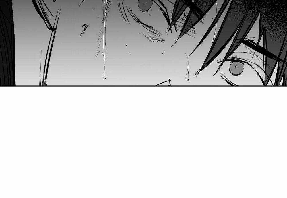 Khi Đôi Chân Thôi Bước - Chapter 70 - Trang 203