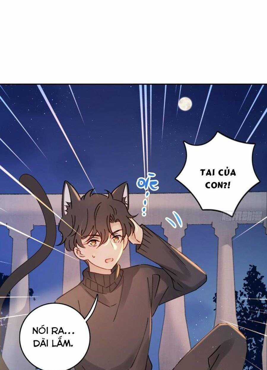 Khi Mộng Thần Yêu - Chapter 72 - Trang 26