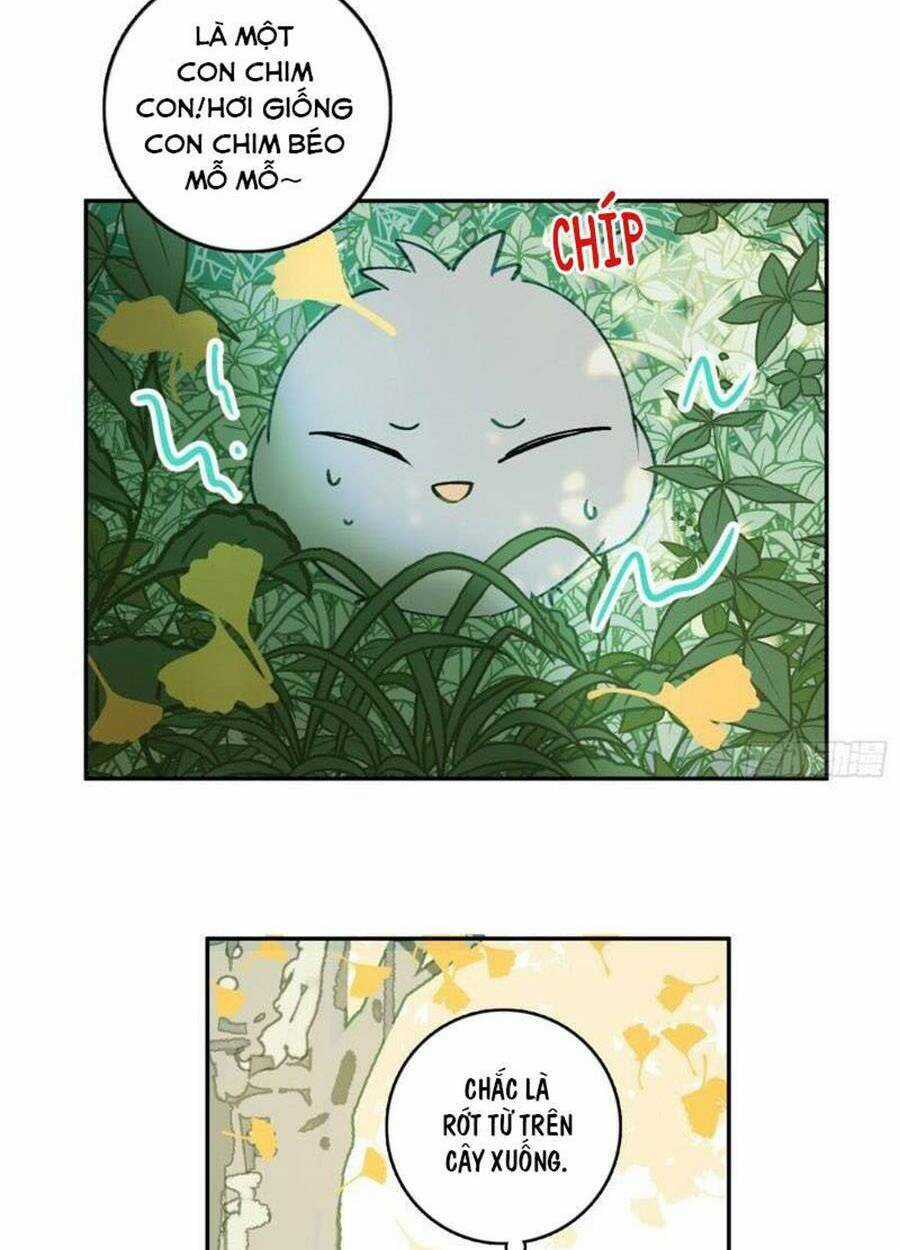 Khi Mộng Thần Yêu - Chapter 74 - Trang 28