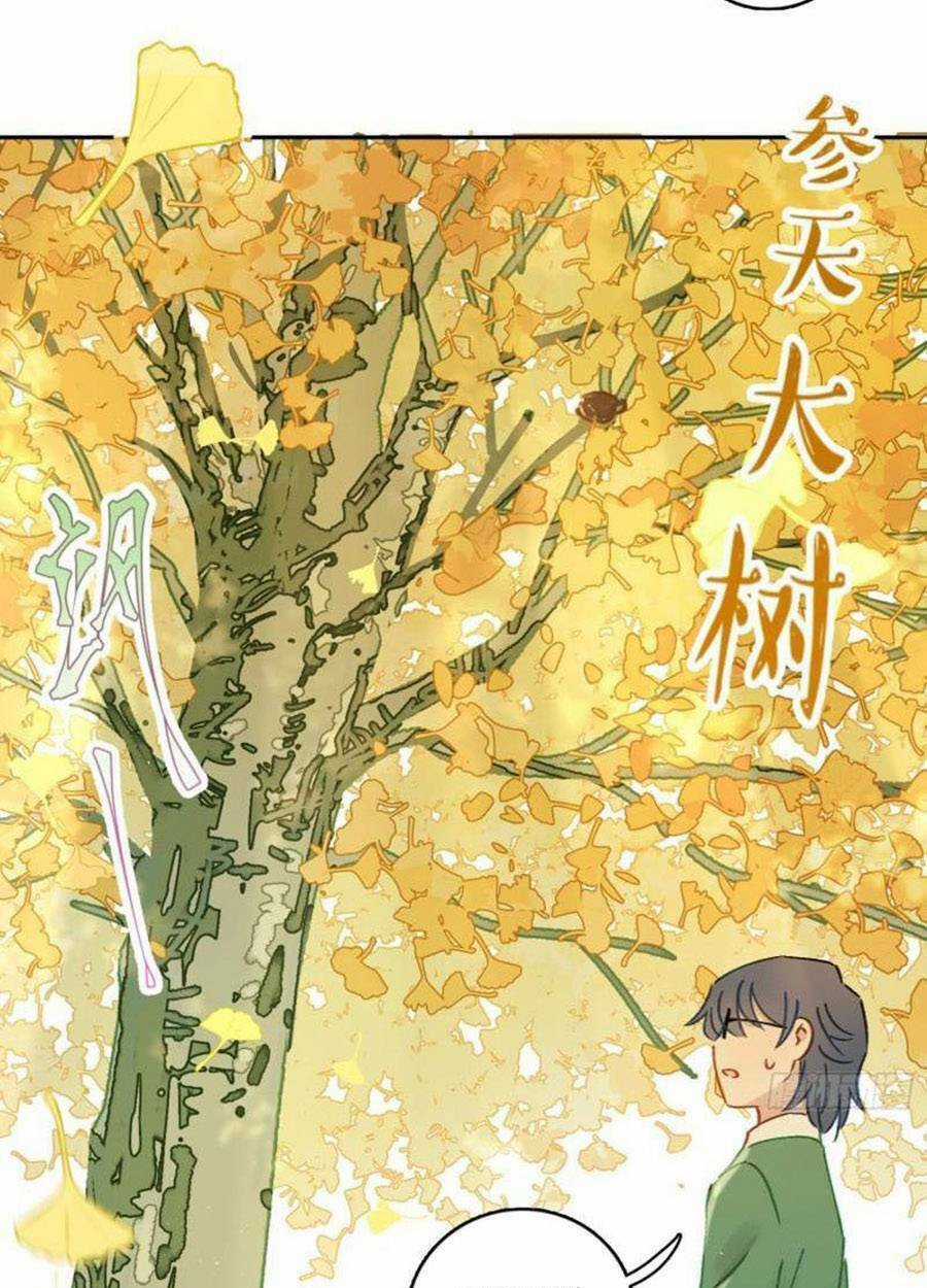 Khi Mộng Thần Yêu - Chapter 74 - Trang 31