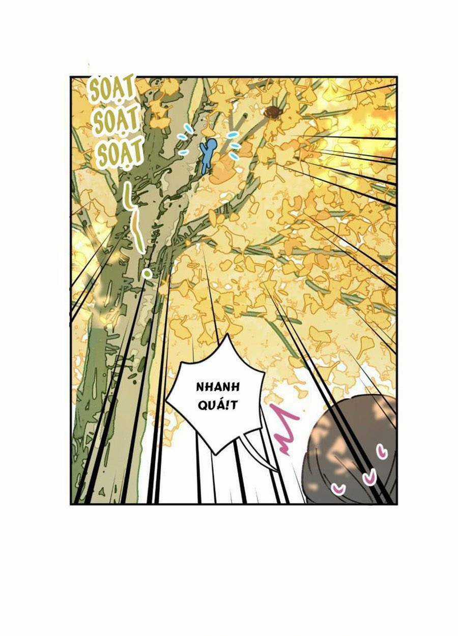 Khi Mộng Thần Yêu - Chapter 74 - Trang 34